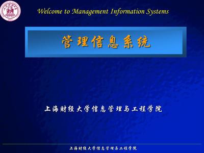 第10章信息系统的开发与实施幻灯片.ppt