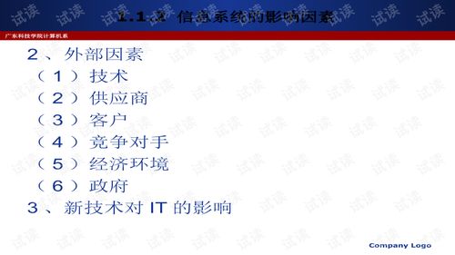 信息系统运行与维护 数字化时代的核心服务保障