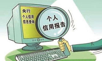 征信查询乱象须根治 严打“李鬼”服务，筑牢信息系统运行维护防线